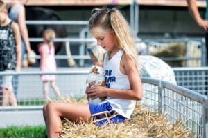 Meisje met cavia op schoot