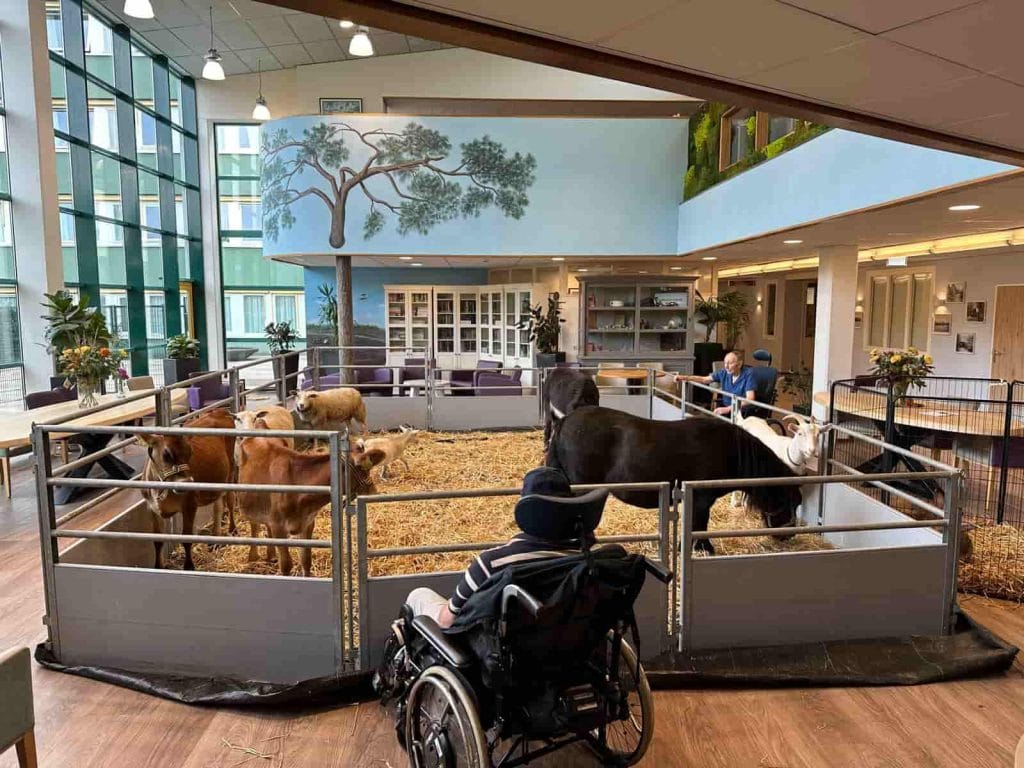 Kinderboerderij binnen bij zorginstelling